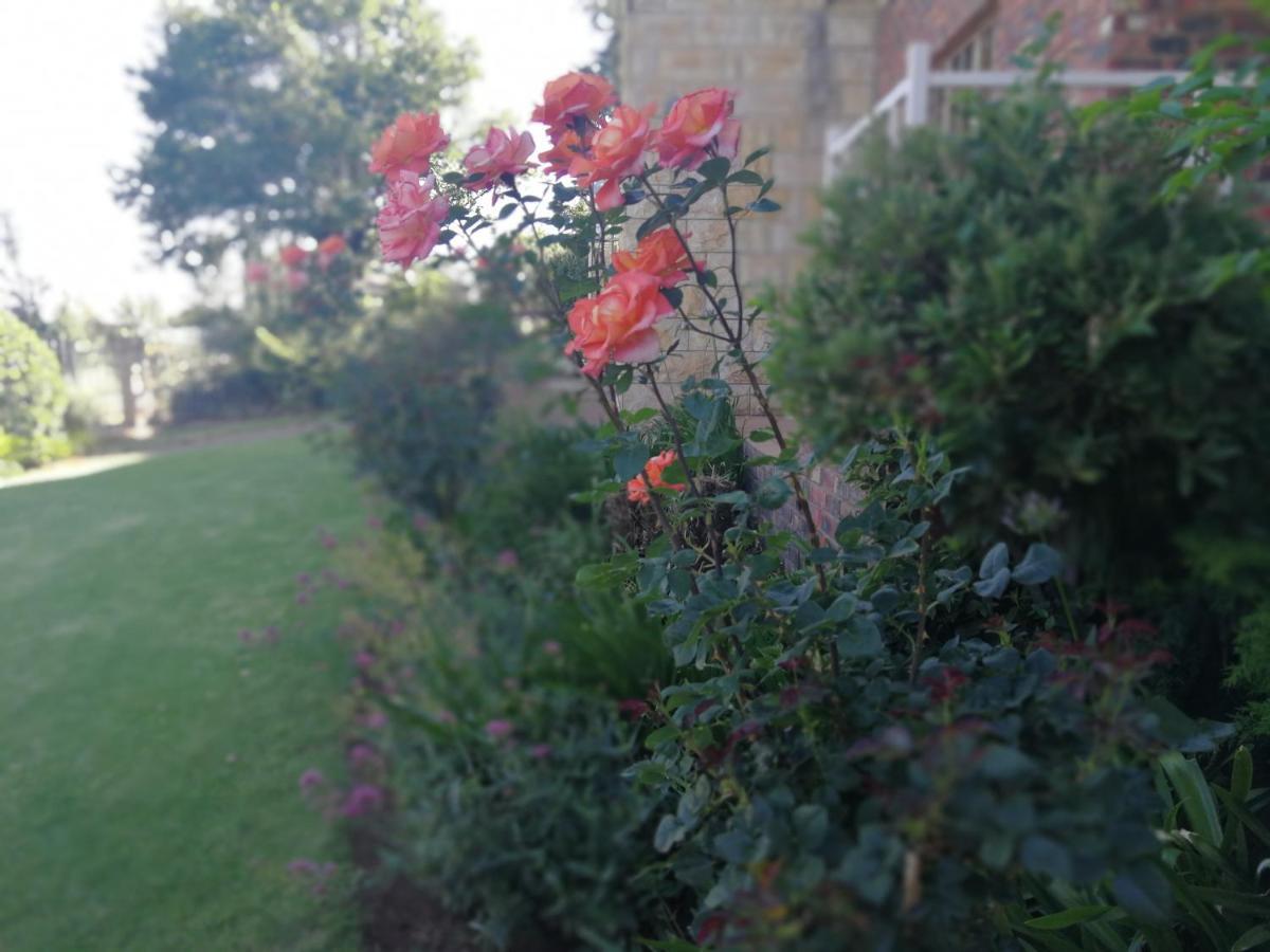 Clarens Cottages Exterior foto